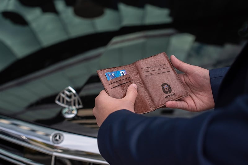 Travel Wallet